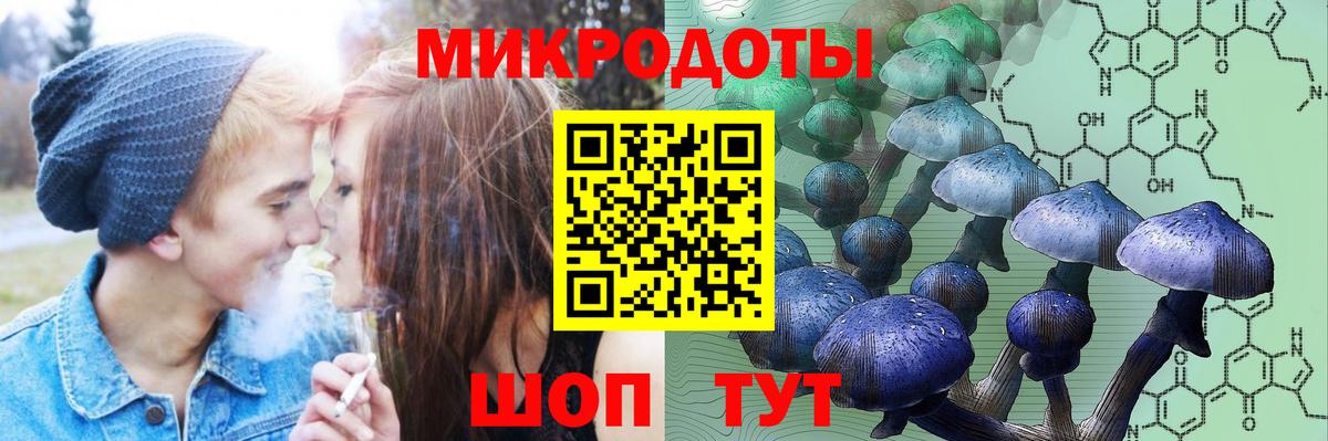 Галлюциногенные грибы Psilocybe Таганрог